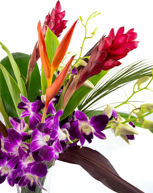Generic Fresh Orchids and Tropical Flower Bouquet, Purple Orchids, Red Ginger, Heliconia, Mixed Foliage, Hawaiian