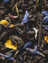 Dammann 3.52 Freres Loose Leaf, Jardin Bleu, Premium Gourmet French Black Tea, Blend Strawberry, Rhubarb Flavors, Ounce
