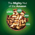 It's Good Energy 100% 1 LB Organic Brazil Wild Nuts | Raw Brazil Nuts | Wild Grown, Sustainably Collected | Prevents