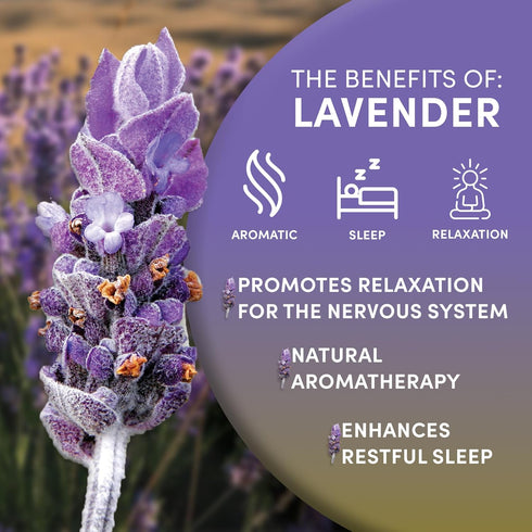 4 Worldwide Botanicals Organic Lavender Flowers, ounces, Pure European Lavender buds, Perfect for Aromatherapy