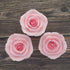 8 Count Global Sugar Art Shrub Rose Pink Sugar Cake Flowers, Large Wired, by Chef Alan Tetreault