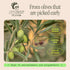 11.8 Oz (350ml) Graza Drizzle Extra Virgin Olive Oil, Finishing Oil - High Polyphenol Early Harvest EVOO Finishing Oil