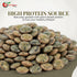 5 NY SPICE SHOP French Lentils Pounds French Green Lentils Dry Lentil Beans - Protein & Fiber Rich - Great for Stews