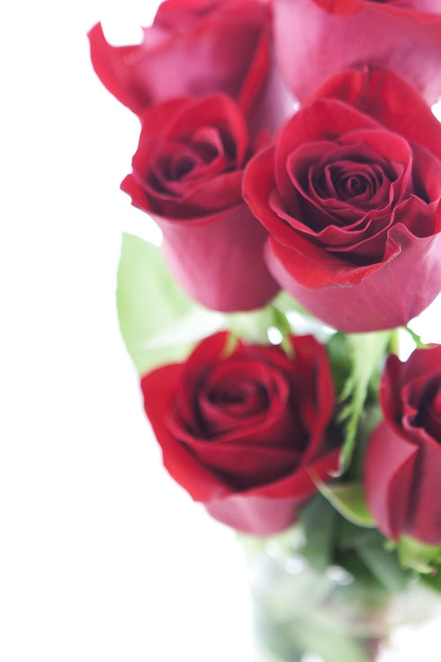 Stemmed Dozen) KaBloom - Bouquet of Long Red Roses (Half - With Vase - Fresh Flowers for Birthday, Valentine's