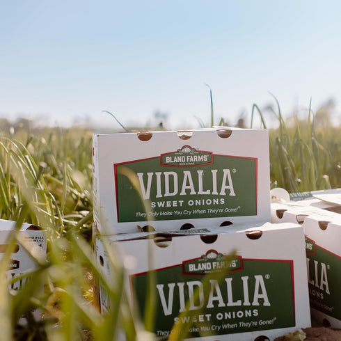 16 oz (2-Pack) Vidalia Brands Sweet Onion Blossom Sauce, - Gourmet Dipping Sauce
