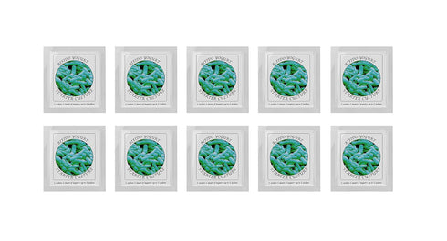 Yogurt Starter Cultures - Pack of 10 Freeze-Dried Culture Sachets for Bifido Yogurt