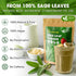 16oz FreshDrinkUS, Sage Leaf Powder Premium Culinary Herb, Pure Ground Sage Leaves for Cooking, Baking & Herbal
