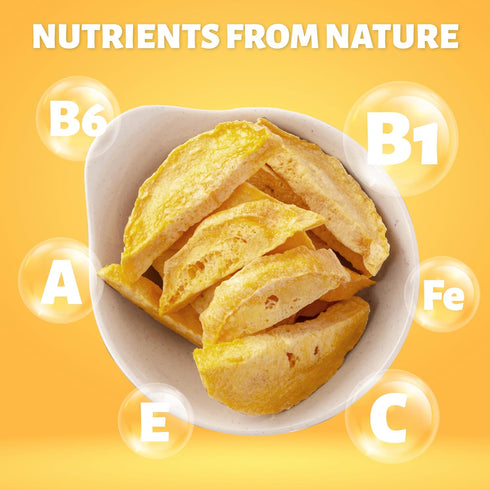 Pack 6, 2 Oz DARLAC FARMS Freeze Dried Mango Slices, No Sugar Added, Healthy Fruit Snacks for Kids, Adults & All Ages