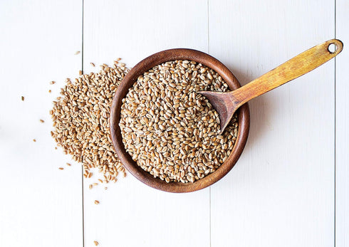 5 Food to Live - Organic Hard Red Wheat Berries, Pounds Non-GMO, Kosher, Raw, Sproutable, Vegan, Sodium and Sugar Free