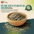 (48 (Pack 1)) NY Spice Shop Pennyroyal Herb - Cut and Sifted Leaves - Dried Mentha Pulegium Leaffor Culinary and Herbal