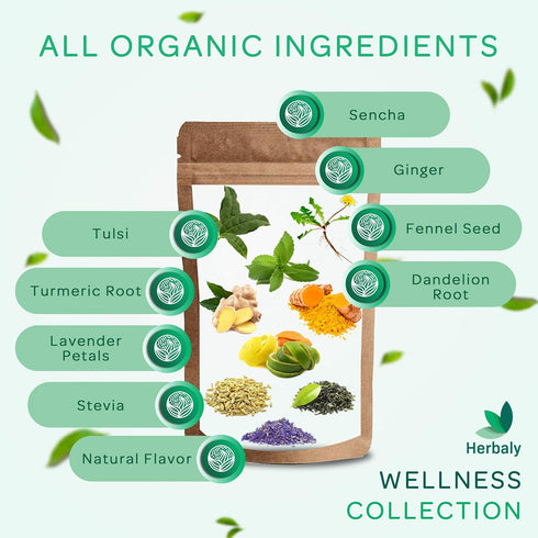 70 28 Count (Pack 1) Herbaly Wellness Collection Organic Herbal Ginger Tea, g, Bag