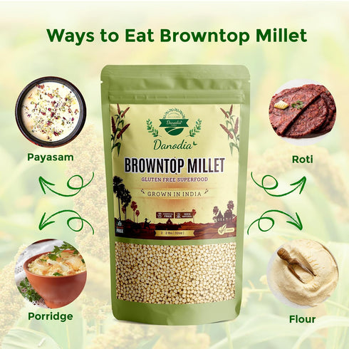 2 lbs (950g), Danodia Foods Browntop Millet, Unpolished, Natural & Gluten-Free Whole Grain Superfood, Plant-Based