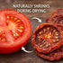 3 oz Dried Tomato Slices Fully Dehydrated Crunchy Round Cut Tomatoes Cooking Garnish Snack Made in USA