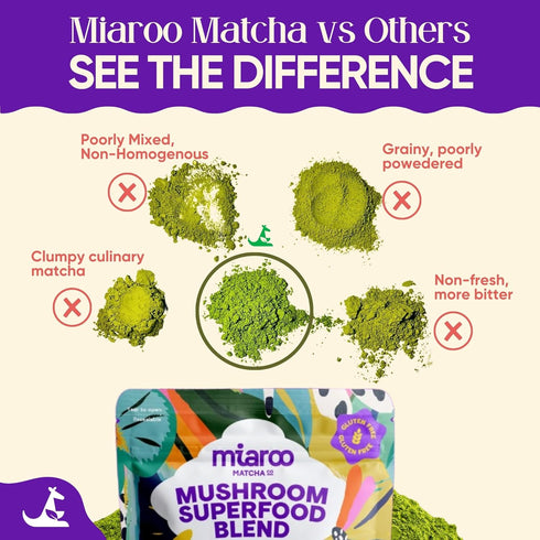 150g (25 70mg Mushroom Matcha servings, Caffeine, Zero Sugar) with Lions Mane, Cordyceps, Reishi, Chaga | Adaptogenic