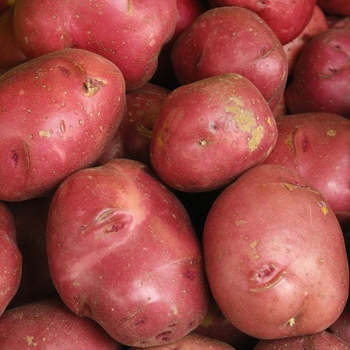 Cyber Sweetz Red Potatoes, 10 lb