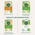 16 Traditional Medicinals Organic Green Tea Peppermint Tea, Tea Bags