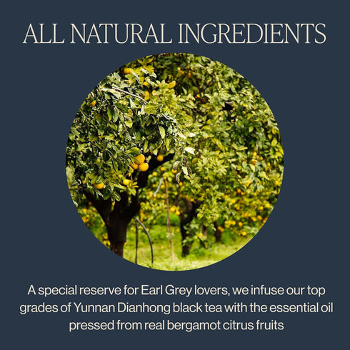 4 12+ Rishi Tea Earl Grey Supreme Tea - Organic, Caffeinated Loose Leaf Tea with Bergamot Oil and Top Grade Yunnan