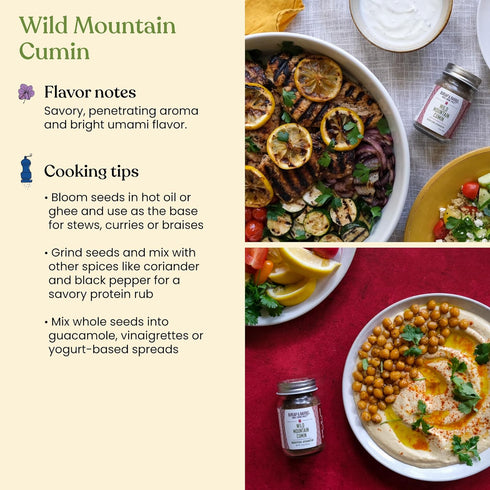 Set 3 Burlap & Barrel Taco Seasoning Single Origin Spice - Wild Mountain Cumin, Sun-Dried Tomato, Ground Black Lime