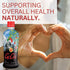LBP Immune 1 (Pack 1) Youngevity GoChi Himalayan Goji Juice Advanced Spectral Signature Process Antioxidant-Rich Goji