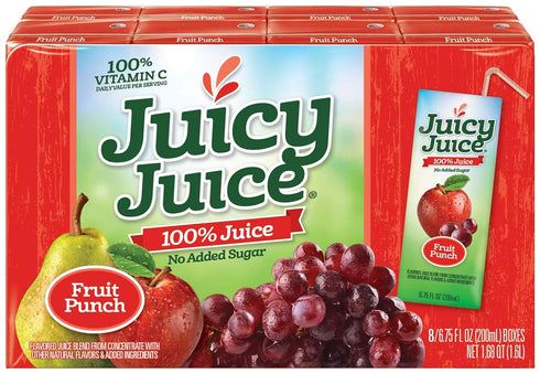 Juicy Juice Fruit Punch Single Serve Box, 54 Fluid Ounce -- 4