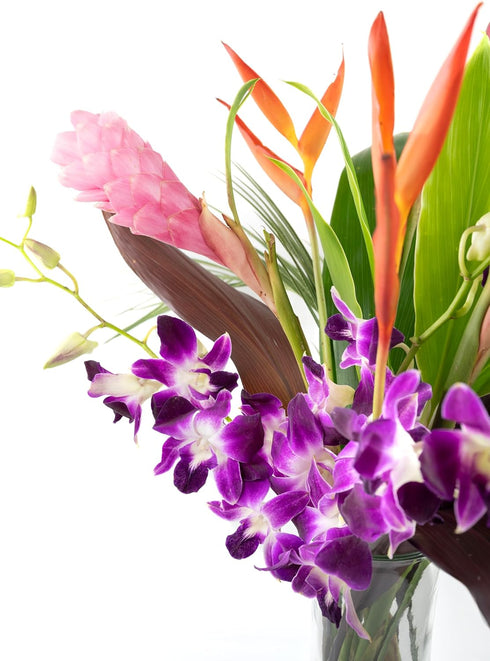 Generic Fresh Orchids and Tropical Flower Bouquet, Purple Orchids, Red Ginger, Heliconia, Mixed Foliage, Hawaiian