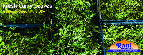 1oz (28g) Rani Fresh Curry Leaves ~ All Natural | Vegan | Gluten Friendly | NON-GMO | Product of USA