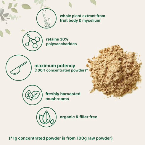 8 100:1 Organic Cordyceps Mushroom Extract Powder, Ounces | Fruit Body & Mycelium Extract | Active Polysaccharides