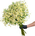 15 Stems Chamomile Daisy Fresh Cut Flowers Perfect for Home Decor Birthdays Anniversaries Healing Sympathy Friendship