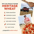 2 lbs Sunrise Flour Mill USDA Organic Heritage Pizza Flour - | Organic Milled Flour from Hard Red Wheat | Easier