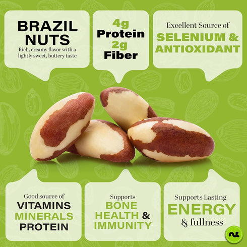 (8oz 1 Pack) Packed NUT CRAVINGS - Raw Brazil Nuts, Unsalted, No Shell, Whole, - Bulk Nuts Fresh in Resealable Bag