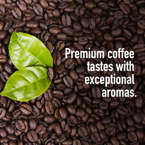 18 1 LB Screen Specialty Grade Premium Kenya AA Coffee Beans, Single Origin, Medium Dark Roast, Whole Beans