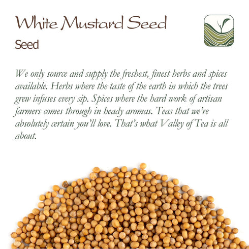 Yellow Mustard Seeds Whole - White Mustard Seed Spicy Ingriedient - Whole Mustard Seeds Yellow Whole Mustard Seed