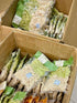 Generic 500g Mut Dua Non Homemade Young Coconut Candy Strips, Low Sugar, Natural Colors, White and Pandan Green Mix
