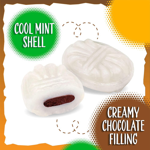 2 165 Arcor Chocolate Filled Mints Candy | Pound Bag | Individually Wrapped Chocolate Mint Hard Candy | Old Fashioned