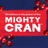 64 Ocean Spray Cranberry Juice Cocktail, Ounce Bottle