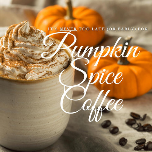 11oz (Pack 1) New England Coffee Pumpkin Spice Medium Roast Ground Coffee, Bag