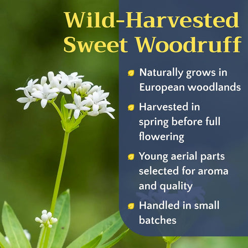 8 oz Sweet Woodruff Herb Tea - Natural Galium Odoratum - Dried Cut and Sifted Herbs