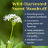 8 oz Sweet Woodruff Herb Tea - Natural Galium Odoratum - Dried Cut and Sifted Herbs