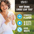 200 16oz Tiesta Tea - Ginger Sweet Peach, Spicy Peach Herbal Tea, Tranquility Blend, Loose Leaf, Non-Caffeinated