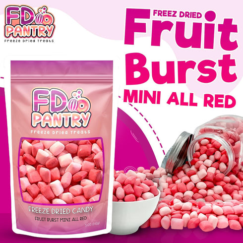 5oz Freeze Dried Fruit Bursts Candy - Mini All Reds l Hard Candy Mix Treat Snack Gift Bag Strawberry, Fruit Punch