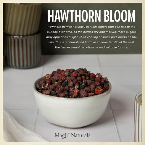 16 oz (1 lb) MagJo Naturals Hawthorn Berries, Whole Dried