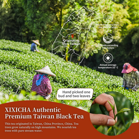 80 cups3.53oz/100g XIXICHA Taiwan Tea Black Tea Loose Leaf Red Jade Grade AAA Ruby Sun Moon Lake Taiwan High Mountain