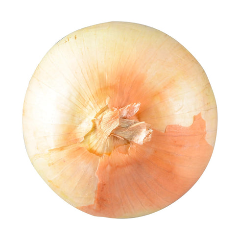 Bristol Farms 1 Count , Yellow Onion