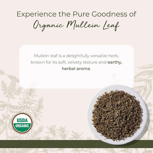 1 lb Starwest Botanicals Organic Mullein Leaf - Dried Loose Leaf Herb for Tea, Cut & Sifted Bag, Certified Kosher