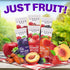 30 Count Pack Fruit Leather Strips | Real Fruit Variety with Strawberry, Plum, Peach, Blackberry, Date & Cherry