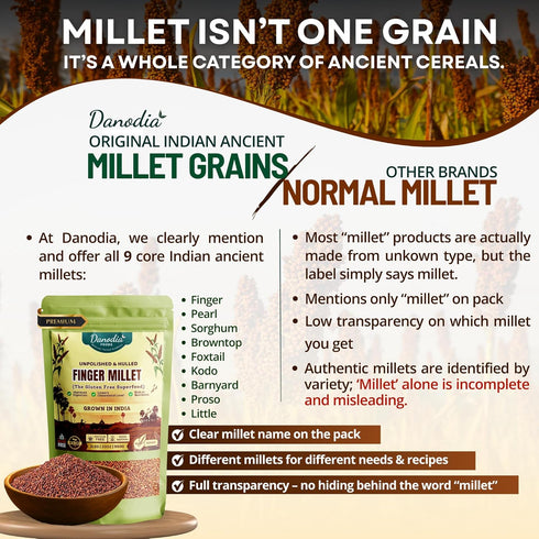 (950g/2 lbs) Danodia Foods Roasted Pearl Millet (Bajra) Flour | Sprouted, Dried & Roasted Whole Grain Flour | Naturally