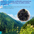Mulberries Mulberries Mulberry 280g/10oz Premium Dried Black Dried Black Tea Herbal Tea No Sugar Added & No Additives