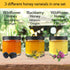 Mickelberry Set 3 (33oz) Gardens Honeybee Flight Gift Jar Honey Flight Featuring Wildflower & Blackberry Honeys Pure