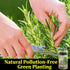 LWWTYKSPL 3.53oz 100g Premium Rosemary Sprigs, | All-Natural, Non-GMO for Cooking, Baking, Tea & Beverages | Culinary