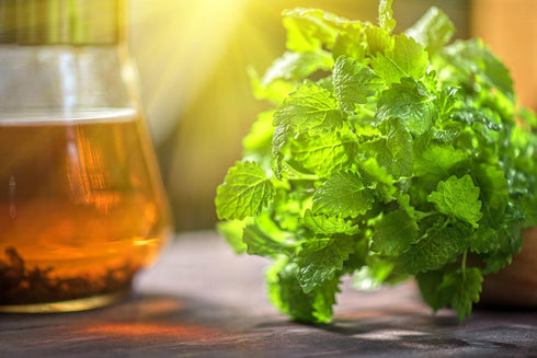 1lb (16Oz) Lemon Balm (Herbal Tea): (Melissa Officinalis Caffeine Free) - Balm Leaf (Cut and Sifted), U.S. Wellness